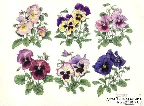 Работы Gwendolyn Babbitt Designs