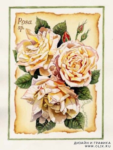 Работы Gwendolyn Babbitt Designs