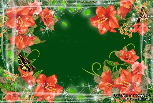 Рамка для фото –  Бабочки на цветах