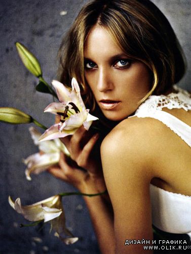 Фотограф Signe Vilstrup
