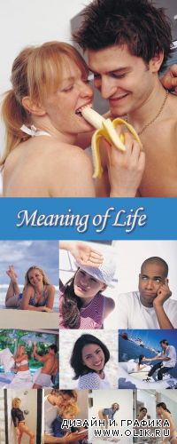 Meaning of Life