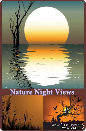 Nature Views 21. Night