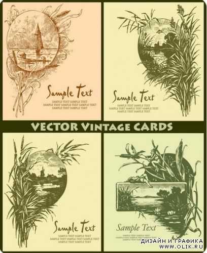 Vector Cards 4