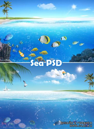 Sea PSD