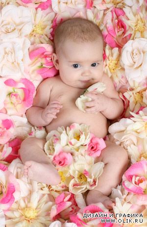 Шаблон Малыш в розах