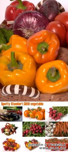 Spotty Standart CD10 vegetable