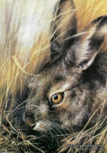 Имя с открытки. Художник А.Исаков Имя с открытки. Художник А.Исаков