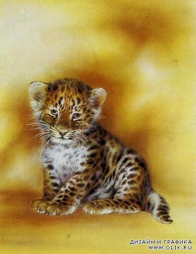 Имя с открытки. Художник А.Исаков Имя с открытки. Художник А.Исаков