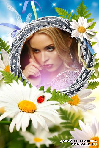 Рамка для фото - Ромашки