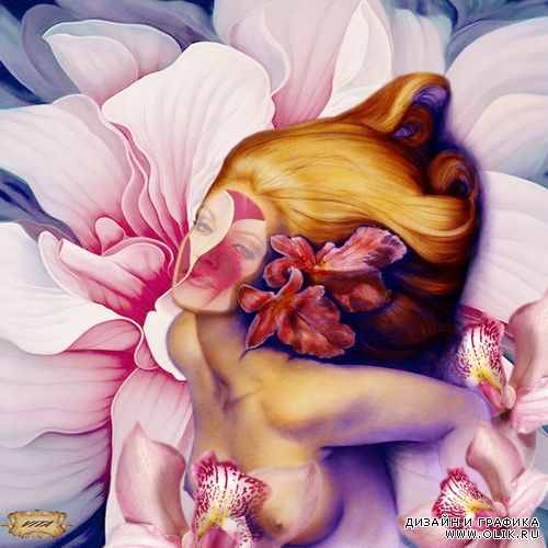 Шаблон " Орхидея " Шаблон " Орхидея "