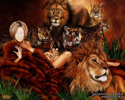 Шаблон " Кошки " Шаблон " Кошки "