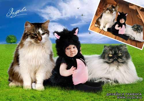 шаблон для фотомонтажа -   Котёнок