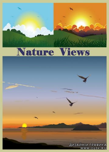 Nature Views 14