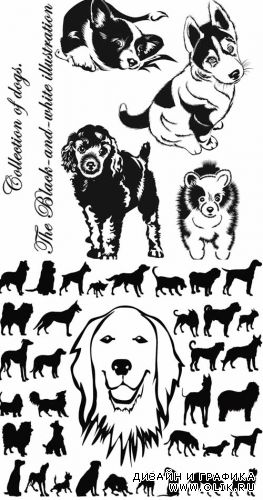 Collection of dogs. The Black-and-white illustration