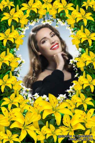 Рамка для PHSP