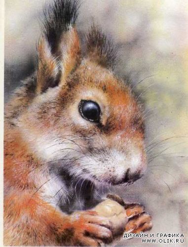 Имя с открытки. Художник А.Исаков