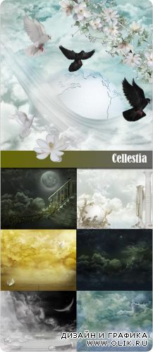 Cellestia