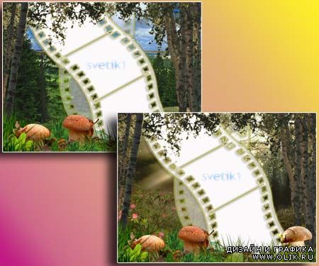 Рамка для фотошопа - Лес