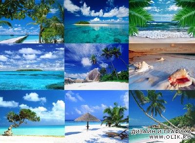 Фоны для фотошопа - Тропический рай