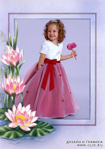 Рамка для PHSP