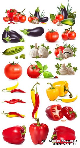 Vector vegetables / Векторные овощи