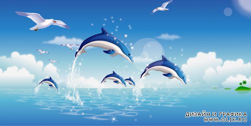 Дельфины
