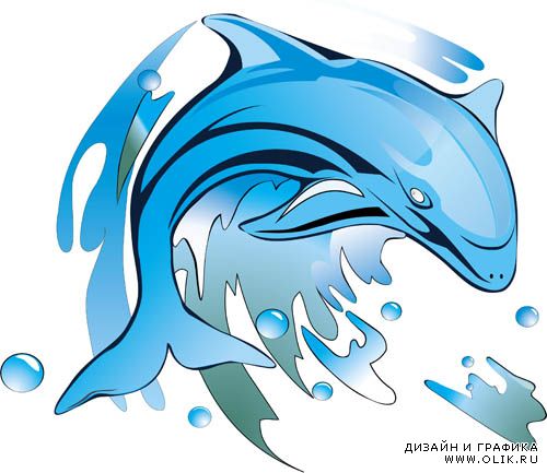Дельфины