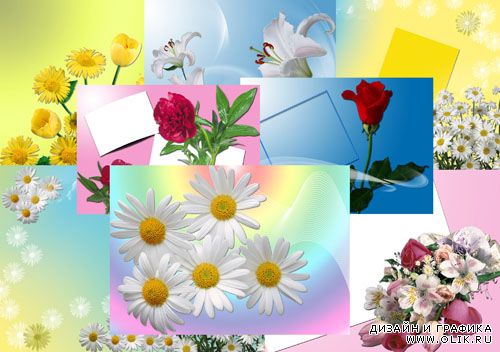 Коллекция картинок – Нежные цветы