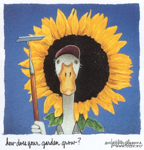 Images from Will Bullas