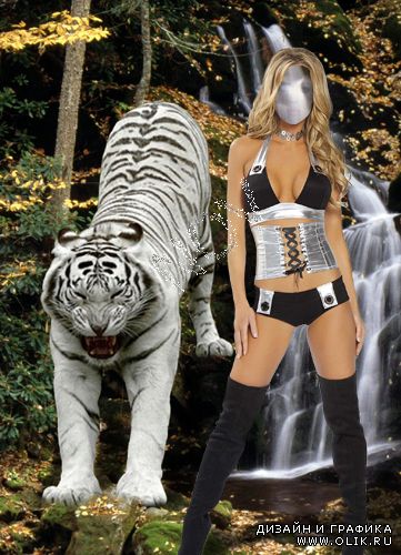 Шаблон для фотошоп -С белым тигром