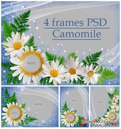 4 рамочки для фотошопа - Ромашки (Camomile) 4 рамочки для фотошопа - Ромашки (Camomile)