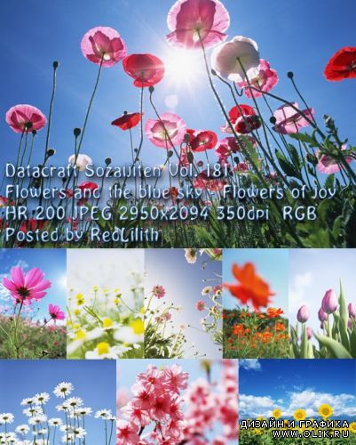 Фотоклипарт Datacraft Sozaijiten Vol. 181 Flowers and the blue sky - Flowers of joy