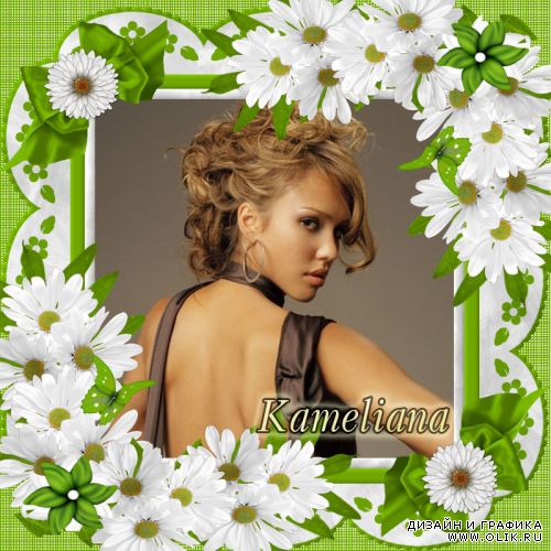 Ромашковая  рамочка