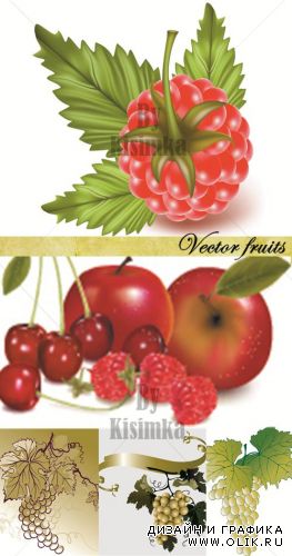 Vector fruits