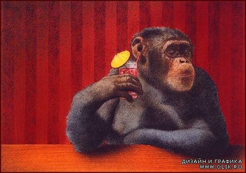 Images from Will Bullas