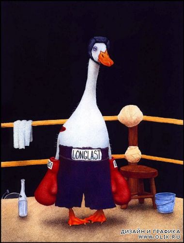 Images from Will Bullas