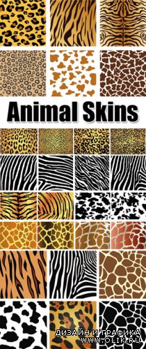 Animal Skins Vector