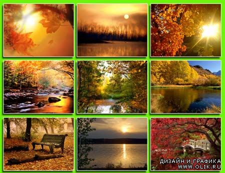 Обои - Осень2