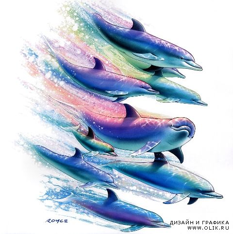 Images from Royce B Mcclure