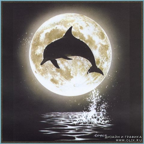 Images from Royce B Mcclure