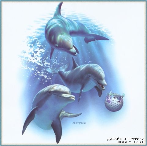 Images from Royce B Mcclure