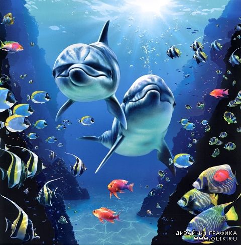 Images from Royce B Mcclure