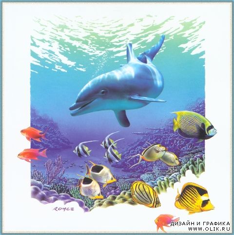 Images from Royce B Mcclure