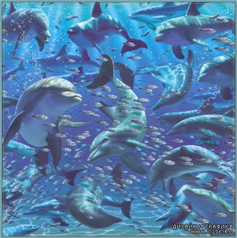 Images from Royce B Mcclure