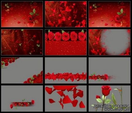 Footages - Editor's Themekit 117: Roses are Red  (ISO)