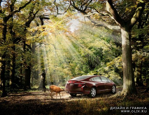 Драйвовая реклама Metagate