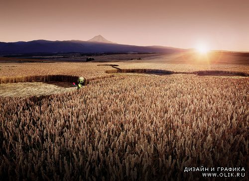 Драйвовая реклама Metagate