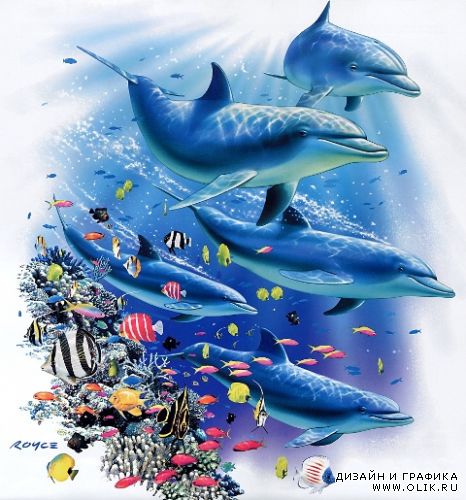 Images from Royce B Mcclure