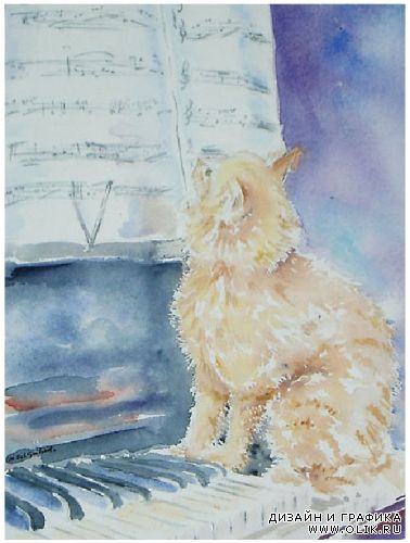 Images by Nicole Sol-Guibert