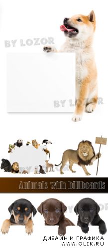 Animals with billboards